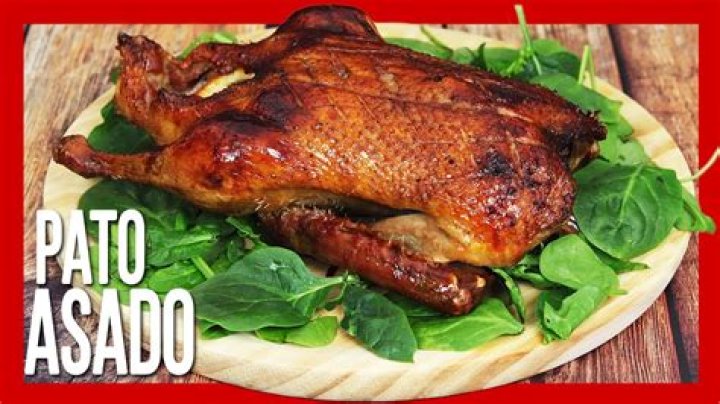 Pato Horneado Youtuber overview